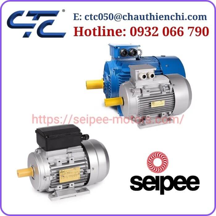 Động Cơ Điện Seipee Made in Italy